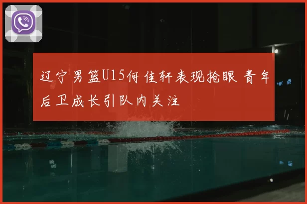 辽宁男篮U15何佳轩表现抢眼 青年后卫成长引队内关注